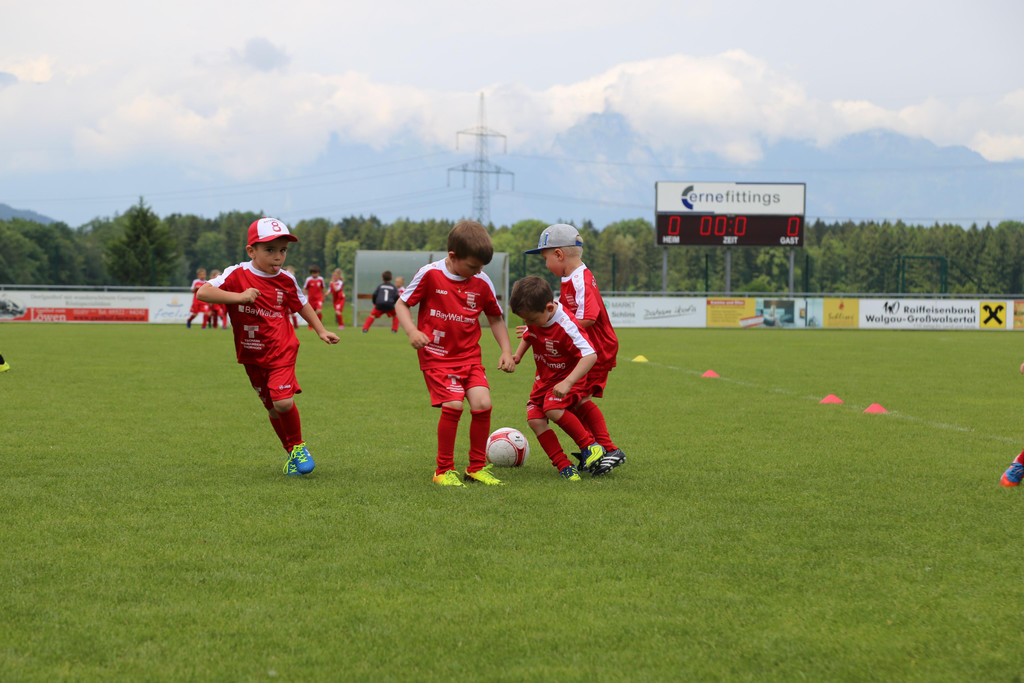 IMG_7877.JPG