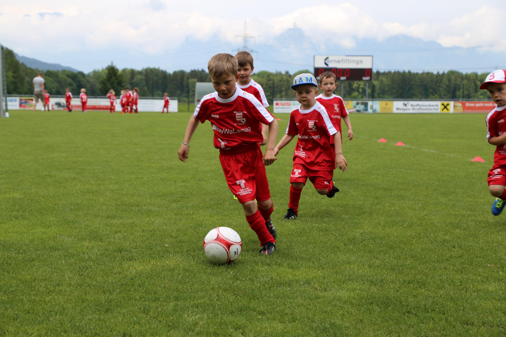 IMG_7879.JPG