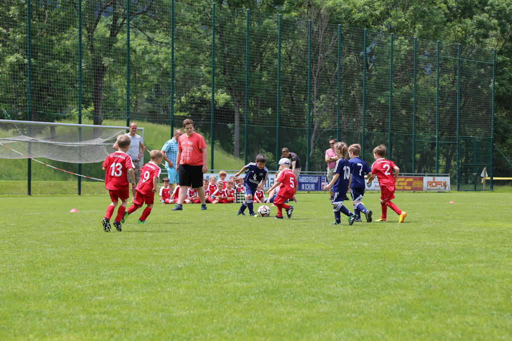 IMG_7882.JPG