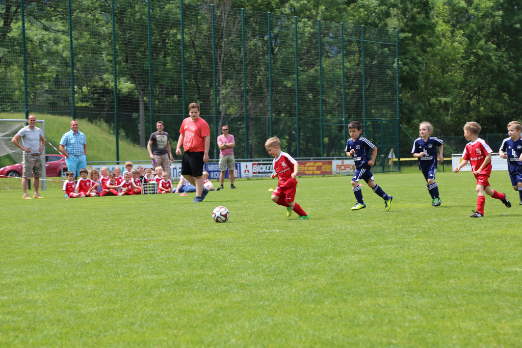 IMG_7883.JPG