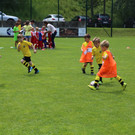 IMG_7891.JPG