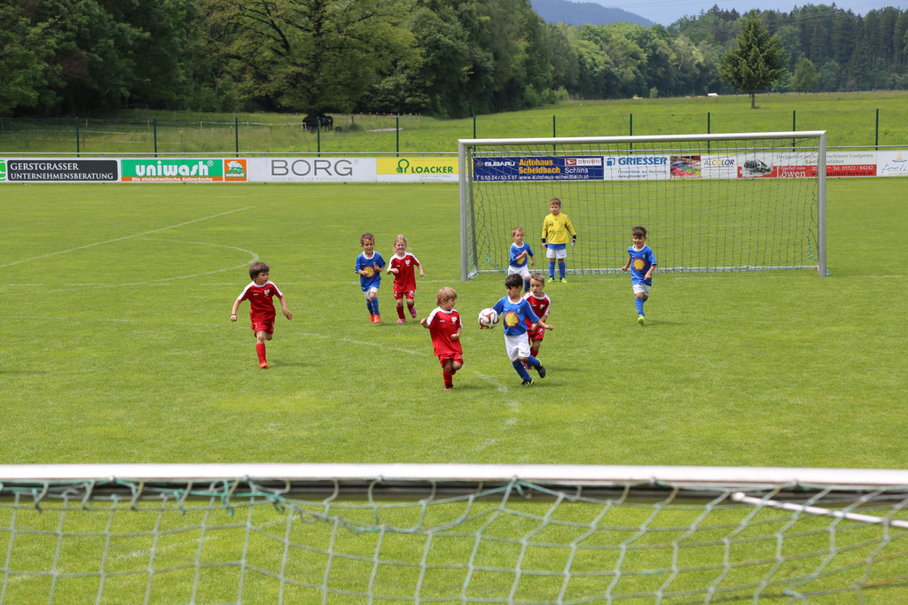 IMG_7894.JPG