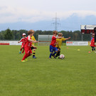 IMG_7896.JPG