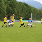 IMG_7898.JPG