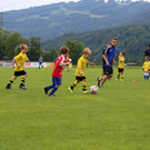 IMG_7903.JPG