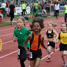 k-IMG_8376.JPG