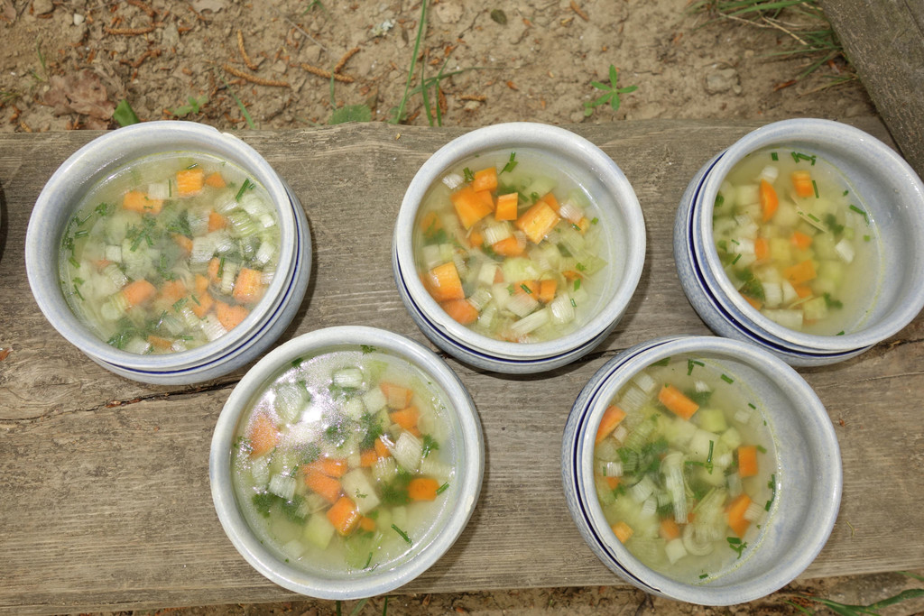 Heute gibt es Gem__sesuppe 11_5 _13_.JPG