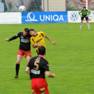 a Hoechst 19_06_2010 13_jpg-1277035003