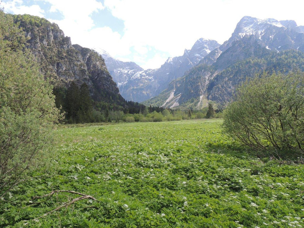 DSCN1879.jpg