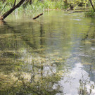 DSCN1882.jpg