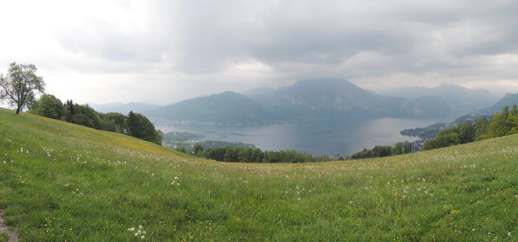 DSCN1997A.jpg