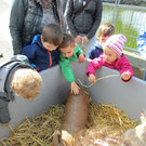 IMG_2753.JPG