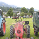 IMG_3430.jpg