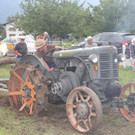 IMG_3452.jpg