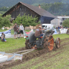 IMG_3454.jpg
