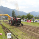 IMG_3475.jpg