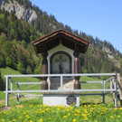 IMG_4869.jpg