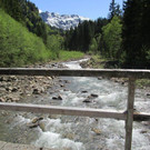 IMG_4844.jpg