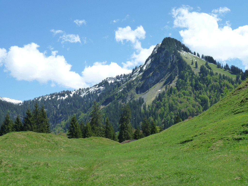P1040416.jpg