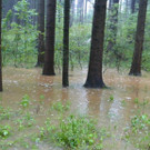 Sequenz 01_Standbild039.jpg