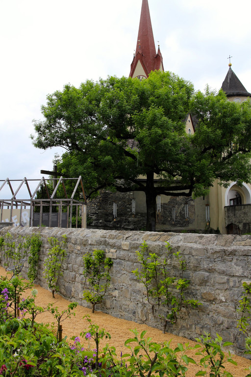 KOE_Glasfenster Basilika Rankweil 18.jpg