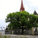 KOE_Glasfenster Basilika Rankweil 18.jpg
