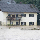AFP_BF2M8.jpg