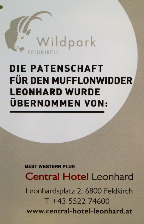 KOE_Wildpark Nachwuchs Juni 1.jpg