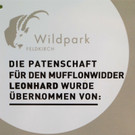Tierpaten und Nachwuchs Juni 2016    