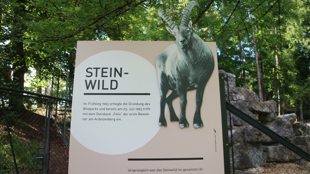 KOE_Wildpark Nachwuchs Juni 7.jpg