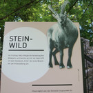 KOE_Wildpark Nachwuchs Juni 7.jpg
