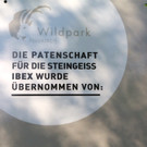 KOE_Wildpark Nachwuchs Juni 8.jpg