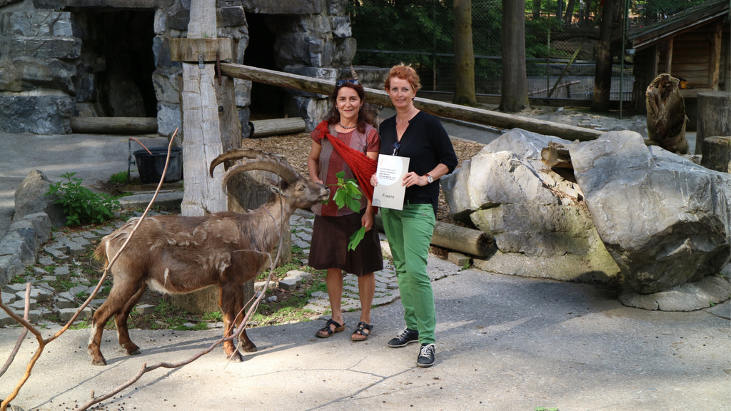 KOE_Wildpark Nachwuchs Juni 9.jpg