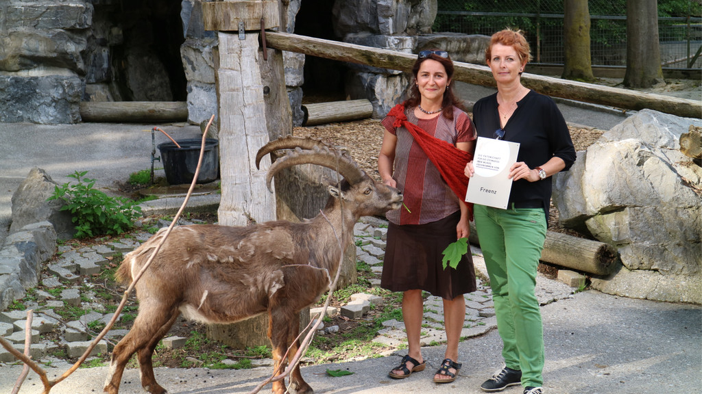 KOE_Wildpark Nachwuchs Juni 11.jpg