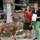 KOE_Wildpark Nachwuchs Juni 11.jpg