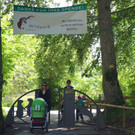 KOE_Wildpark Nachwuchs Juni 25.jpg