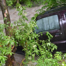 ED04062016_Schwerer Unwetter_Raum Puchberg _3_.jpg