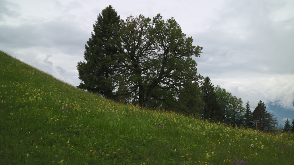 KOE_Abschied Pfadihuette Furx 2.jpg