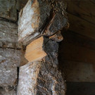 KOE_Abschied Pfadihuette Furx 51.jpg