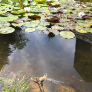 IMG_3304 _Large_.JPG