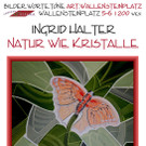 Irene Pesti und Ingrid Halter bei bilder.worte.töne