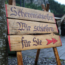 IMG_8850.JPG