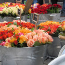 Markt in Bezau3.JPG