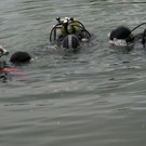 Tauchclub Vorarlberg feierte 50jähriges Bestehen