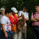 IMG_8632.JPG