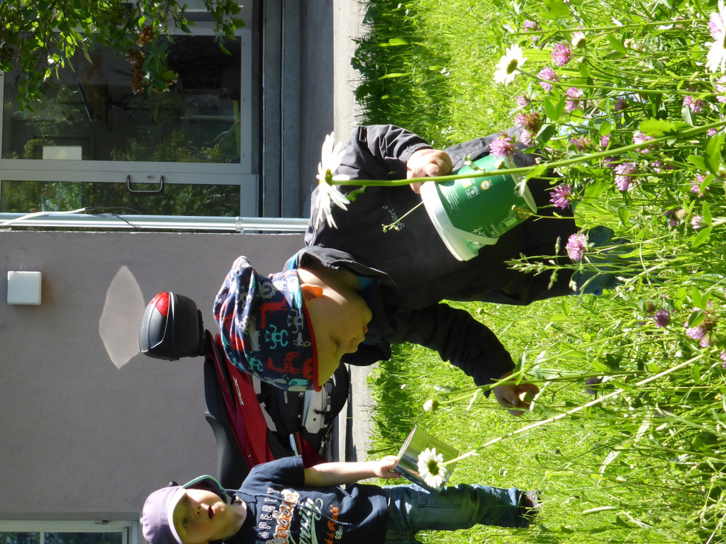 P1090017.JPG