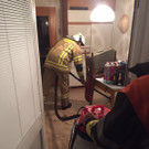 IMG-20160608-WA0007.jpg