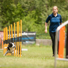 agilityclub_at _3_.jpg