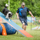 agilityclub_at _32_.jpg