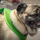 3CityWaves - 09_06_2016-7.jpg